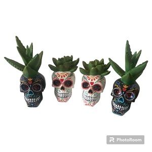 Sugar skull succulent decor